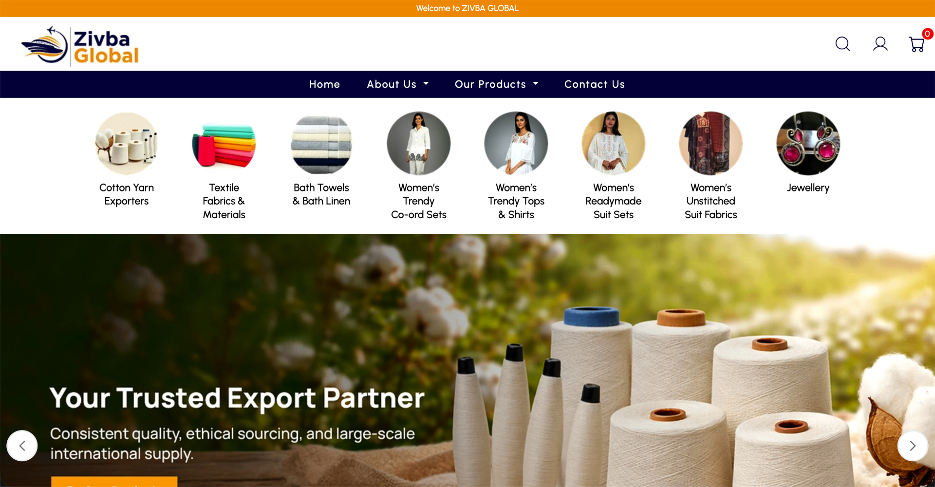 Zivba Global website preview